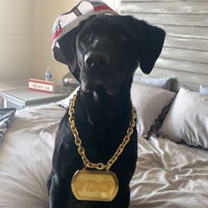 Meet your Posher, Cole